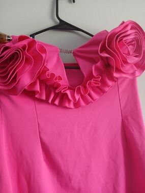 Women’s Pink Ruffle Neck Dress with Floral Accents